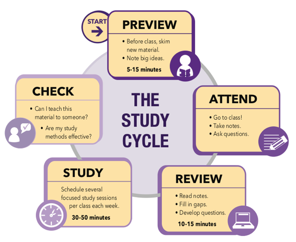 Image showing the steps of the study cycle, a helpful study tip and study technique